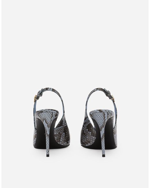 Slingbacks En Python Dolce & Gabbana en coloris White