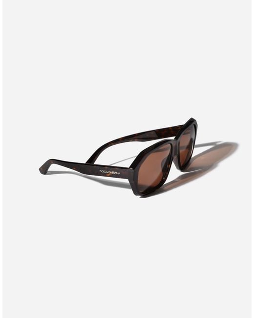 Dolce & Gabbana Brown M's Fashion Showsunglasses for men