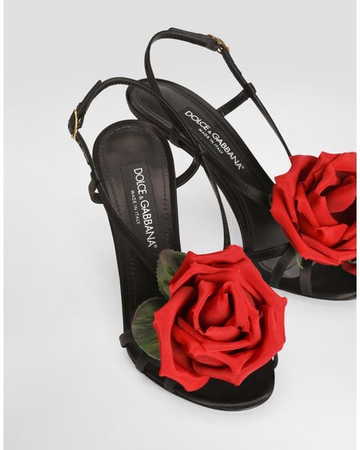 Sandalo Dolce & Gabbana en coloris Multicolor