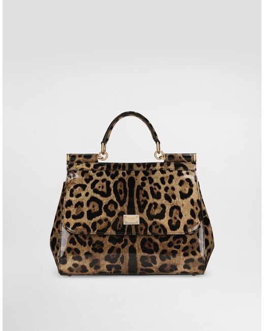 Dolce & Gabbana Brown Large Sicily Handbag