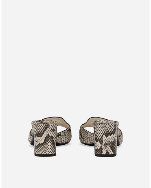 Dolce & Gabbana White Mule Aus Pythonleder