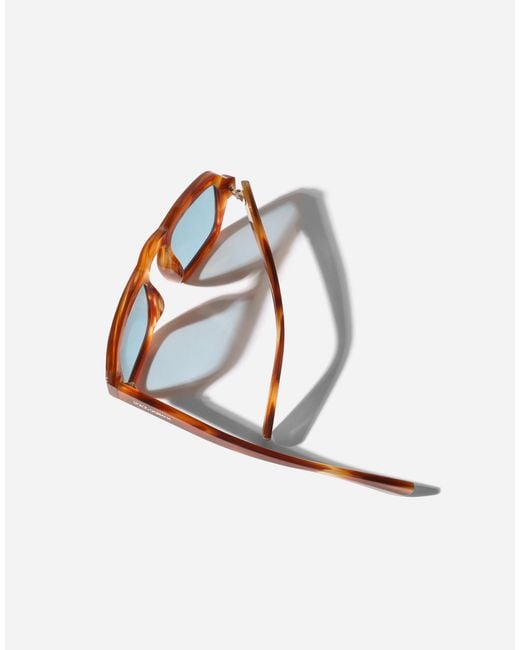 Dolce & Gabbana Blue M's Fashion Showsunglasses for men