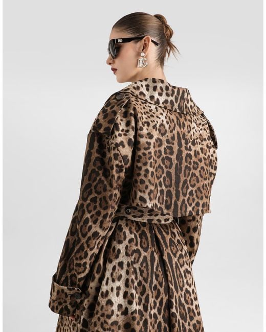 Dolce & Gabbana Natural Double-Breasted Leo- Cotton Drill Coat