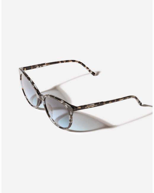 Dolce & Gabbana Blue Everyday Sunglasses