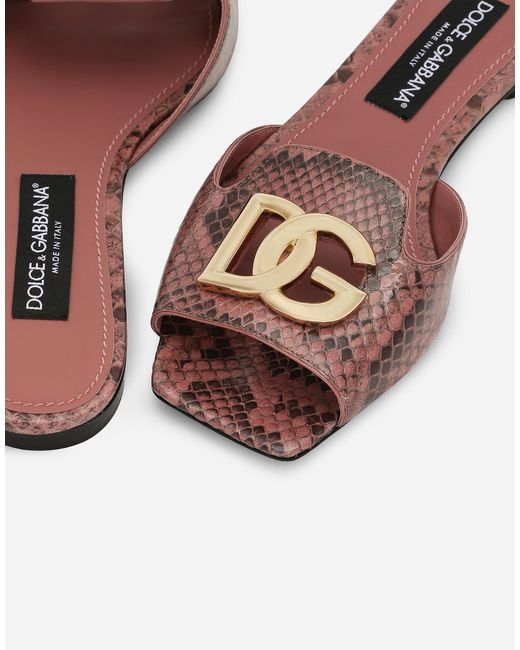 Dolce & Gabbana Brown Pantolette Aus Pythonleder