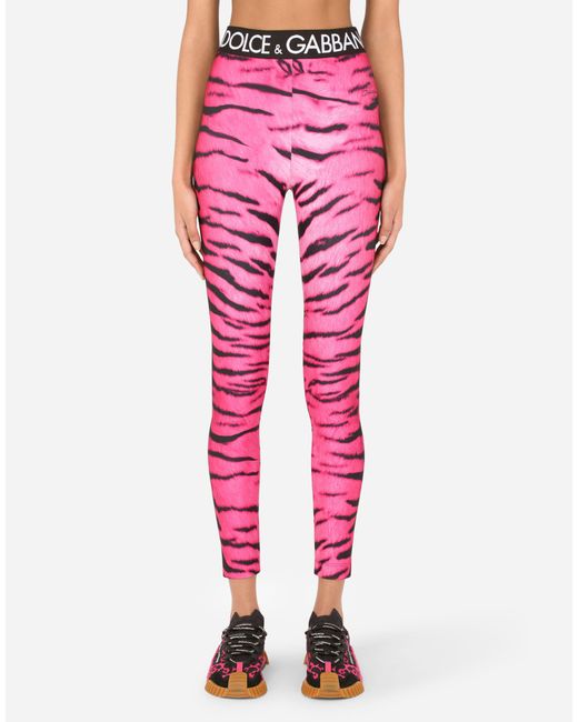 Dolce u0026 Gabbana Run-resistant Fabric leggings With Tiger Print And Branded  Elastic in Pink | Lyst