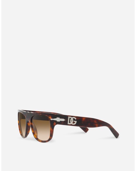 Dolce & Gabbana Multicolor X Persol Sunglasses