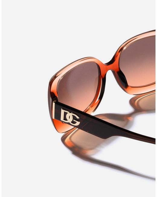 Dolce & Gabbana Pink Maiolica Arancione Sunglasses