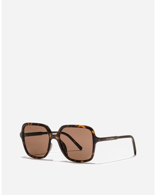 Dolce & Gabbana Multicolor Dg Everyday Sunglasses