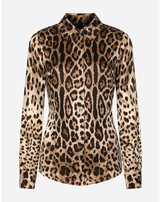 Dolce & Gabbana Brown Camicia