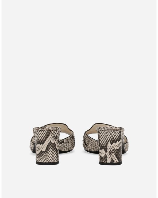 Dolce & Gabbana White Python Skin Mules