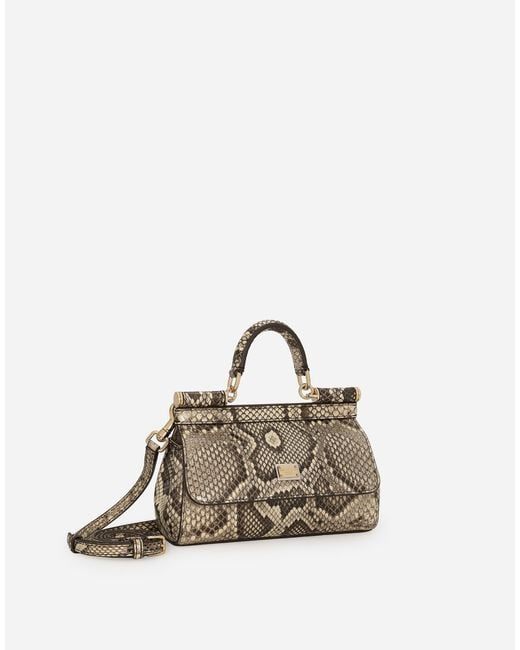 Dolce & Gabbana Natural Small Sicily Handbag