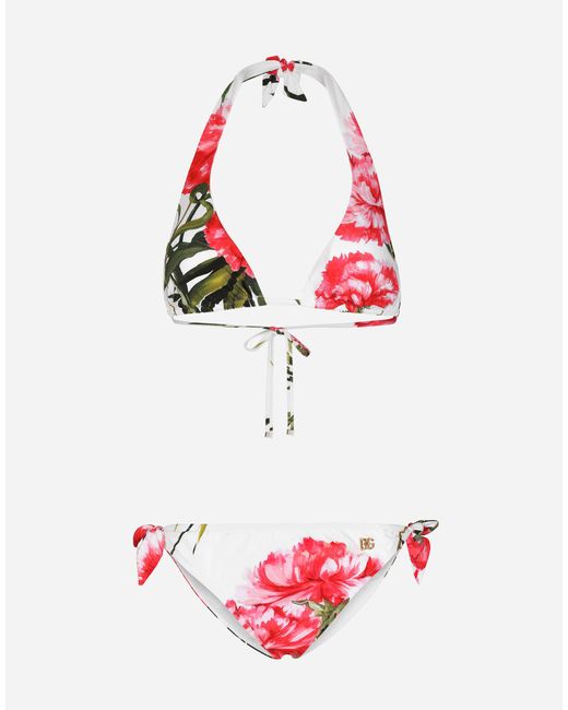 Dolce & Gabbana Carnation-print Padded Triangle Bikini in Red | Lyst
