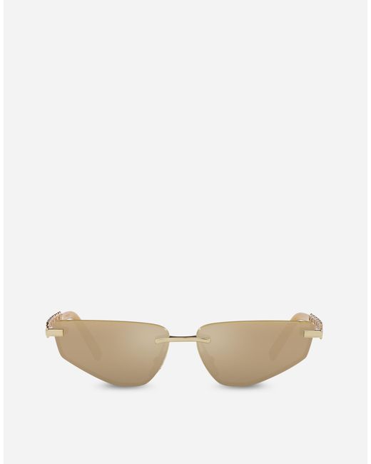 Dolce & Gabbana Natural Dg Essentials Sunglasses