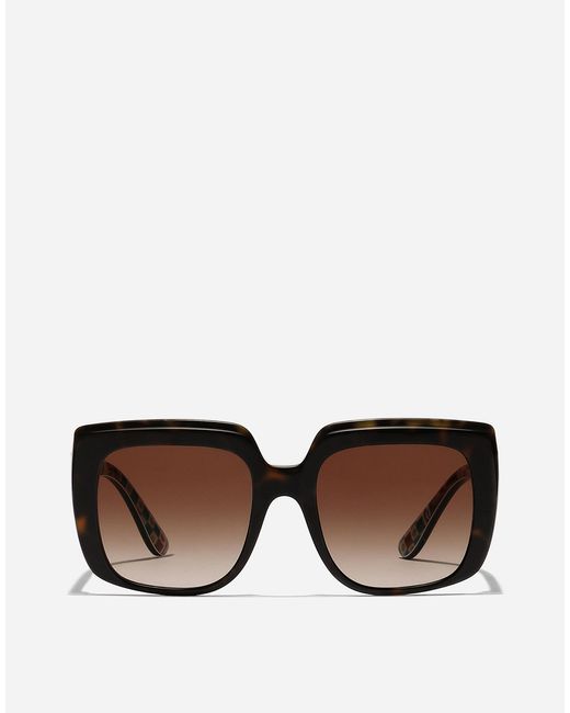 Dolce & Gabbana Brown نظارة شمسية New Print