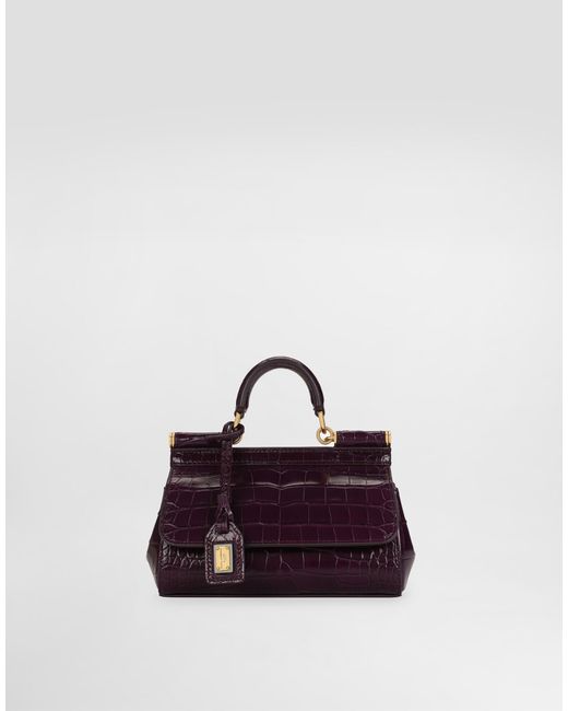 Dolce & Gabbana Purple Elongated Sicily Handbag