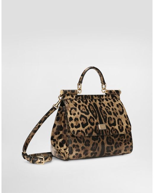 Dolce & Gabbana Brown Large Sicily Handbag