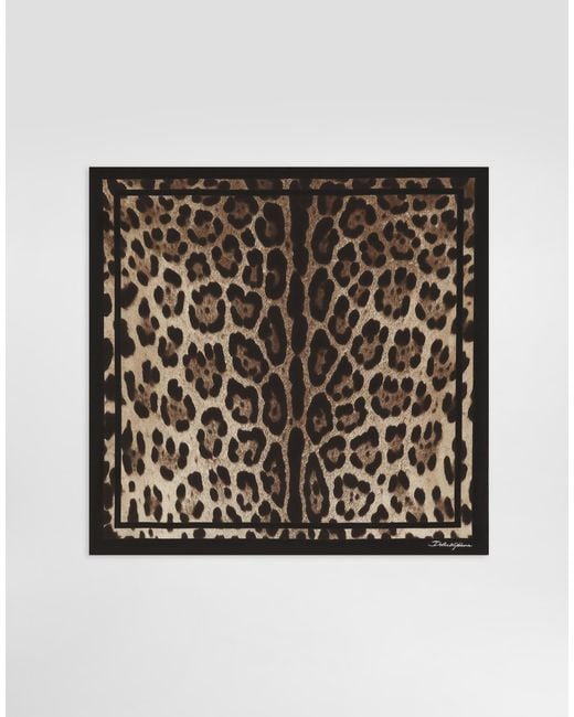Dolce & Gabbana Black Leopard- Silk Twill Scarf 50X50