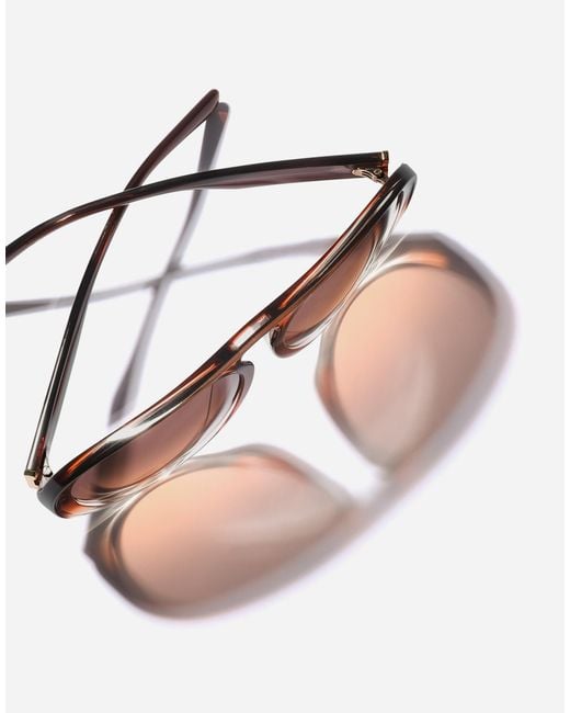 Dolce & Gabbana Brown Maiolica Arancione Sunglasses