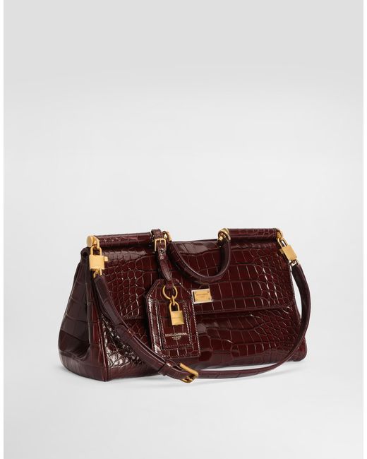 Dolce & Gabbana Brown Borsa A Mano