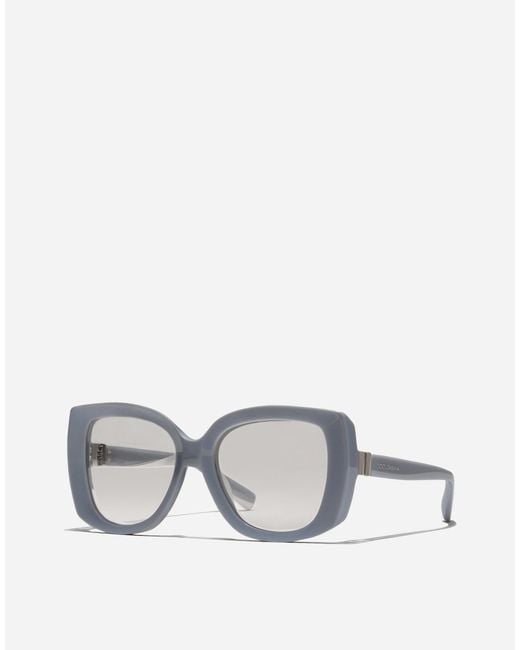 Occhiali Da Sole Everyday di Dolce & Gabbana in Gray