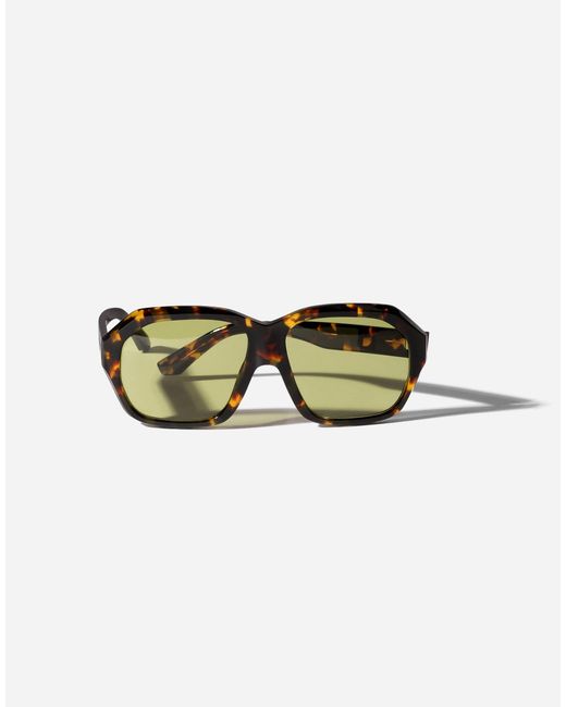 Dolce & Gabbana Multicolor M's Fashion Showsunglasses for men