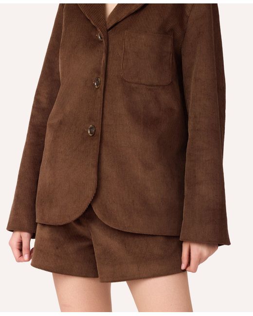 SOTROPA Brown Velvet Blazer