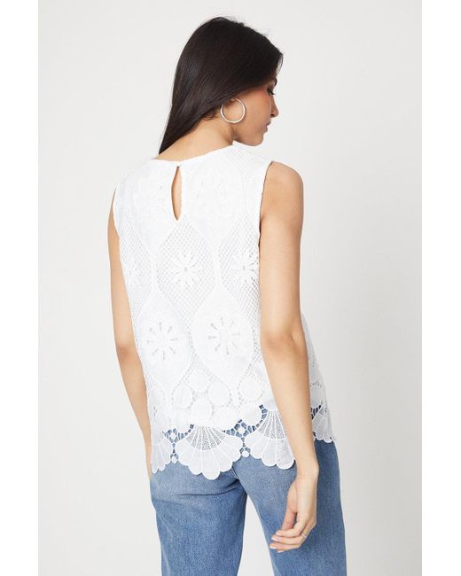 Dorothy Perkins White Lace Scallop Shell Top
