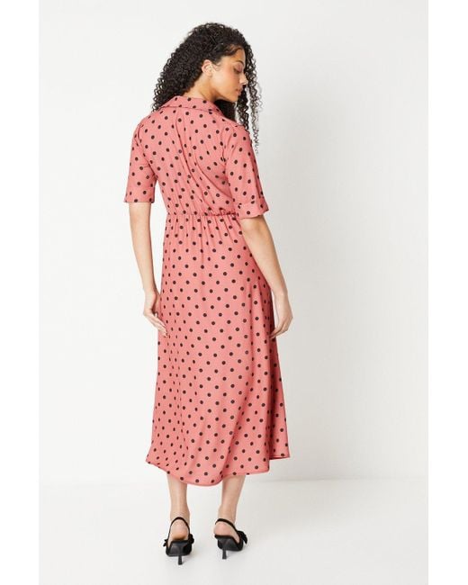 Dorothy Perkins Pink Tall Spot Collar Midi Dress