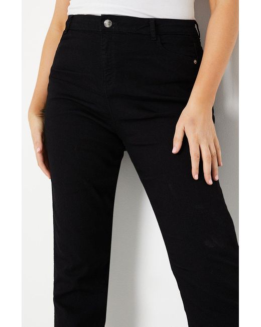Dorothy Perkins Black Curve Comfort Stretch Bootcut Jeans