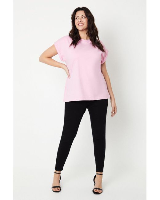 Dorothy Perkins Pink Curve Cotton Roll Sleeve T-shirt