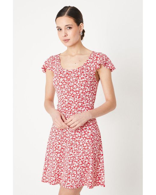Dorothy Perkins Pink Ditsy Scoop Neck Flutter Sleeve Mini Dress