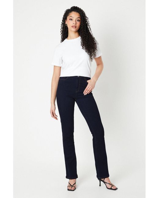 Dorothy Perkins Blue Tall Comfort Stretch Bootcut Jeans