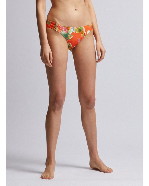 Dorothy Perkins Orange Tropic Bikini Top Haut De Maillot Femme