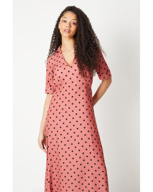 Dorothy Perkins Pink Tall Spot Collar Midi Dress