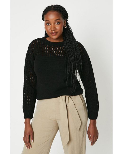 Dorothy top perkins jumpers