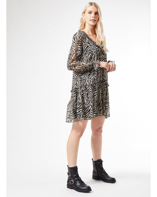 dorothy perkins zebra print dress