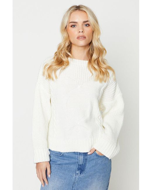 Dorothy Perkins White Petite Wide Sleeve Cable Fluffy Knit Jumper