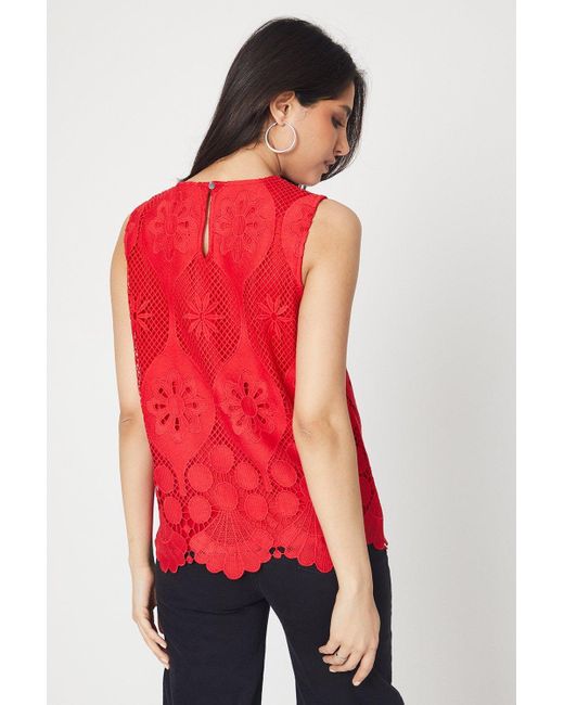 Dorothy Perkins Red Lace Scallop Shell Top