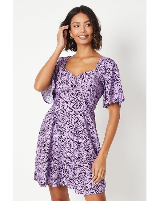 Dorothy Perkins Purple Flutter Sleeve Tie Back Mini Dress