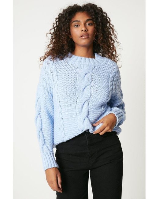 Dorothy Perkins Blue Petite Chunky High Neck Cable Jumper