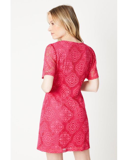 Dorothy Perkins Pink Lace Button Through Mini Dress