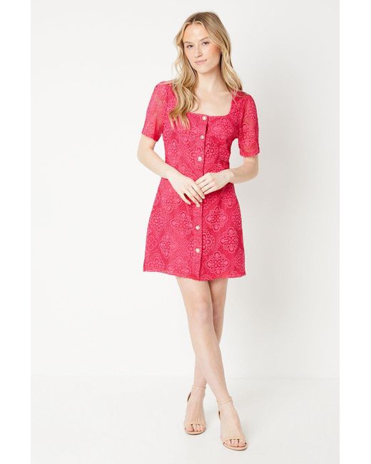 Dorothy Perkins Pink Lace Button Through Mini Dress