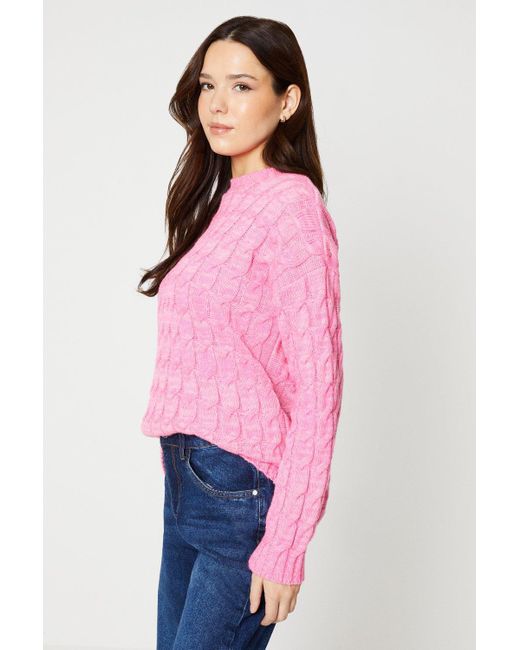 Dorothy Perkins Pink Long Sleeve Cable Knit Jumper