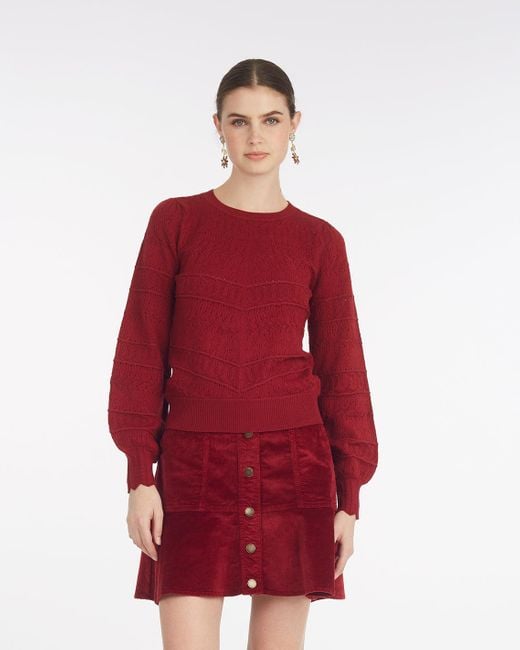 Draper James Red Long-sleeve Pointelle Sweater