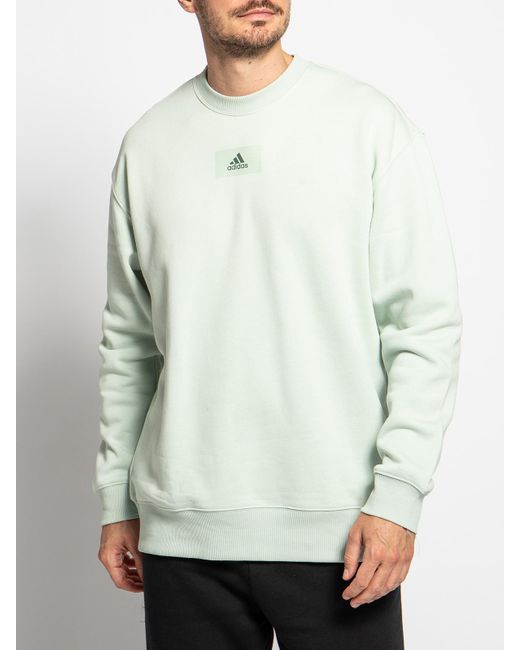 adidas Sweatshirt in Grün für Herren | Lyst DE