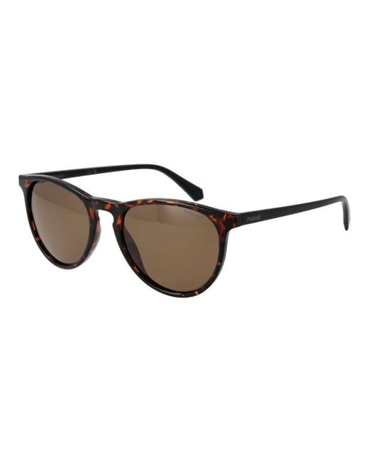 Polaroid Multicolor Brown Plastic Sunglasses