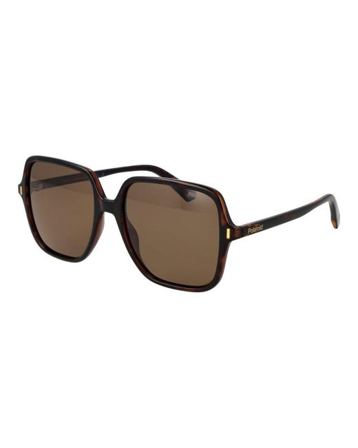 Polaroid Brown Plastic Sunglasses