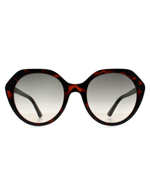Guess Brown Oval Dark Havana Gradient Gf6201