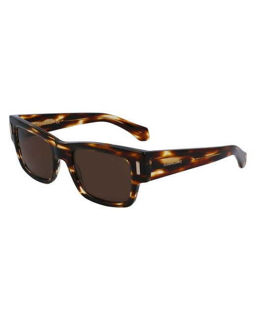 Ferragamo Brown Acetate Sunglasses for men